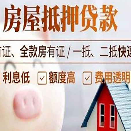 庐阳贷款助贷公司新渝启服成立时间久